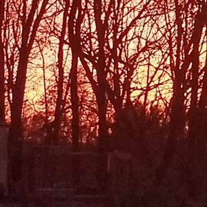 Meet your Posher, Christy